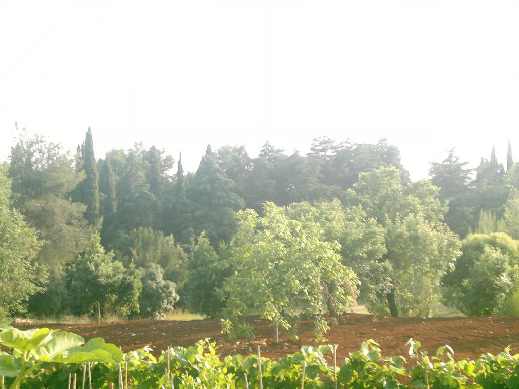 Lino Apartments Rovinj Bilik gambar